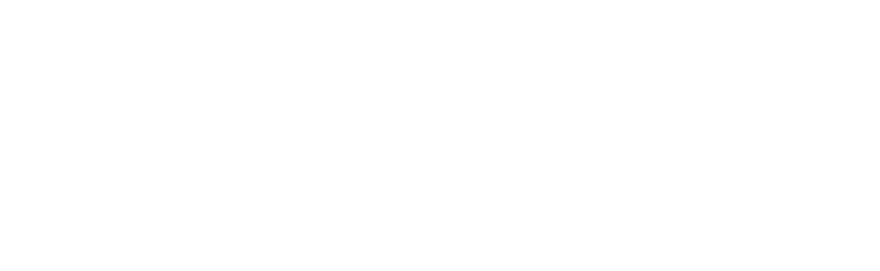 Platinum Tools all white logo