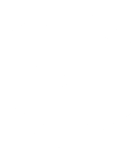 Hexagon Logo for NSI. NSI inside white hexagon.