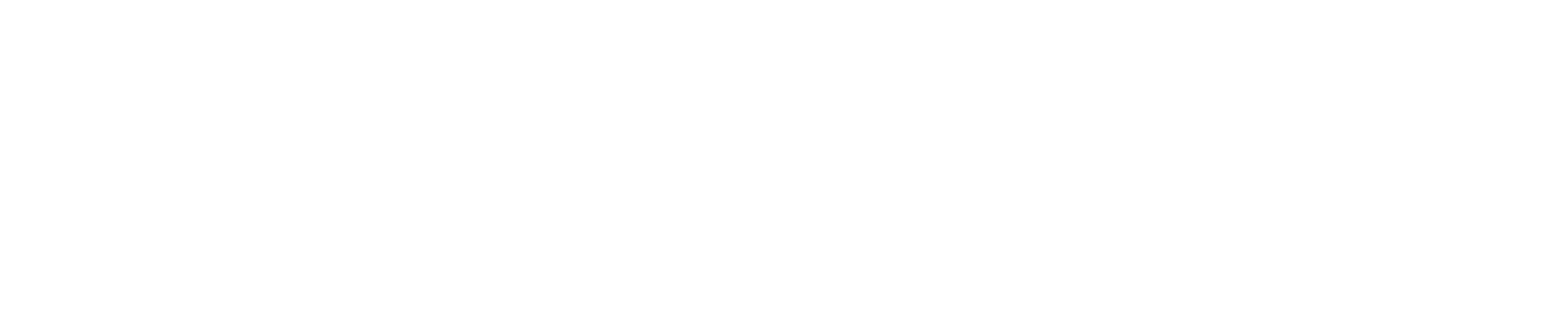 LYNN White Logo PNG