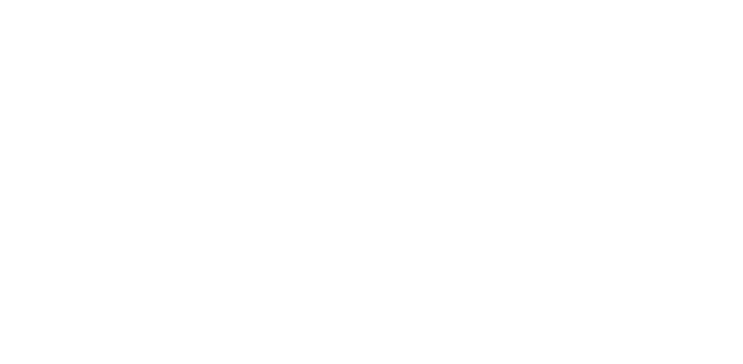 Lynn Networks White Logo
